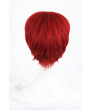 Zero kara Hajimeru Isekai Seikatsu Reinhard van Astrea Cosplay Wig