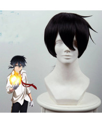 Akashic Records of Bastard Magic Instructor Glenn Radars Cosplay Wig