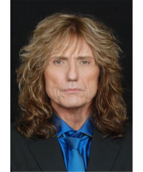 David Coverdale Hairstyle Synthetic Wavy Hair roleplay Wig for Men