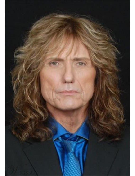 David Coverdale Hairstyle Synthetic Wavy Hair roleplay Wig for Men