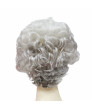 Two Color Grey Short Curly Synthetic Hair Wig for Women