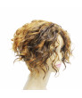 Mixed Color Short Layered Curly Synthetic Hair Capless Wig