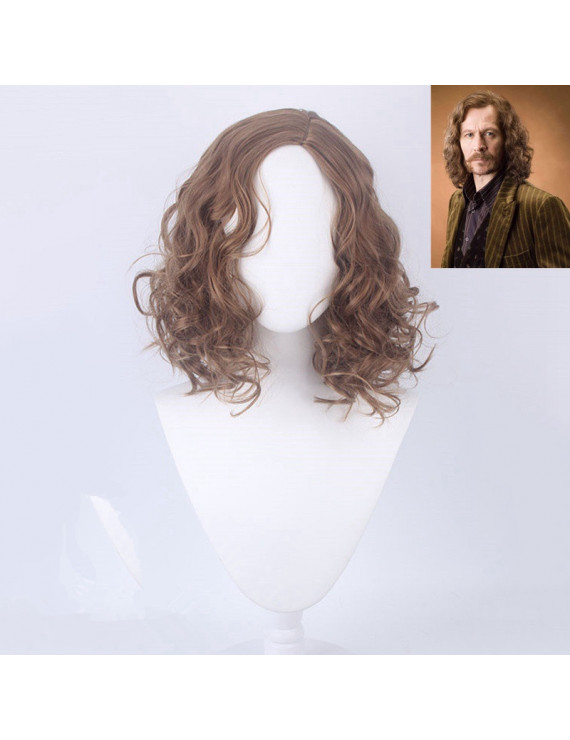 Harry Potter Sirius Orion Black Styled Cosplay Wig