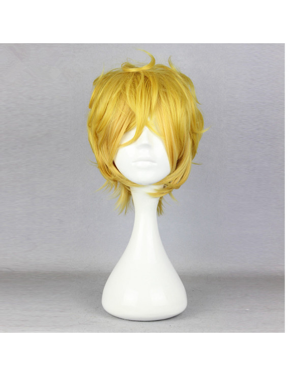 Karneval Yogi Cosplay Wig 32 cm