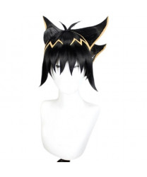 Yu-Gi-Oh! Fudo Yusei Cosplay Wig Heat Resistant Fiber Black Wig 30 cm