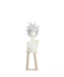Hunter x Hunter Killua Zoldyck Short Grey Role Cosplay Wigs
