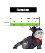 Genshin Impact Hutao Cosplay Costume for Cat