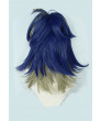 Pokemon Adaman Role Cosplay Wig