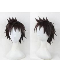 Saint Seiya Pegasus Seiya Role Cosplay Wig