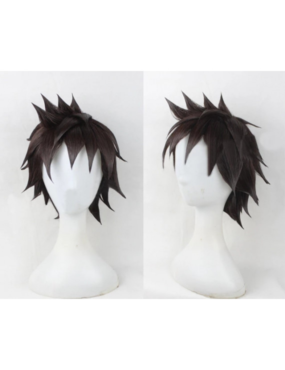 Saint Seiya Pegasus Seiya Role Cosplay Wig