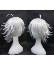 Seven Deadly Sins Estarossa Silver Gray Stype Role Cosplay Wig