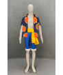 One Piece Dressrosa Monkey D Luffy Cosplay Costume