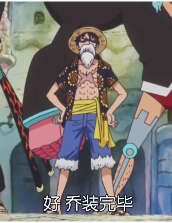 One Piece Dressrosa Monkey D Luffy Cosplay Costume