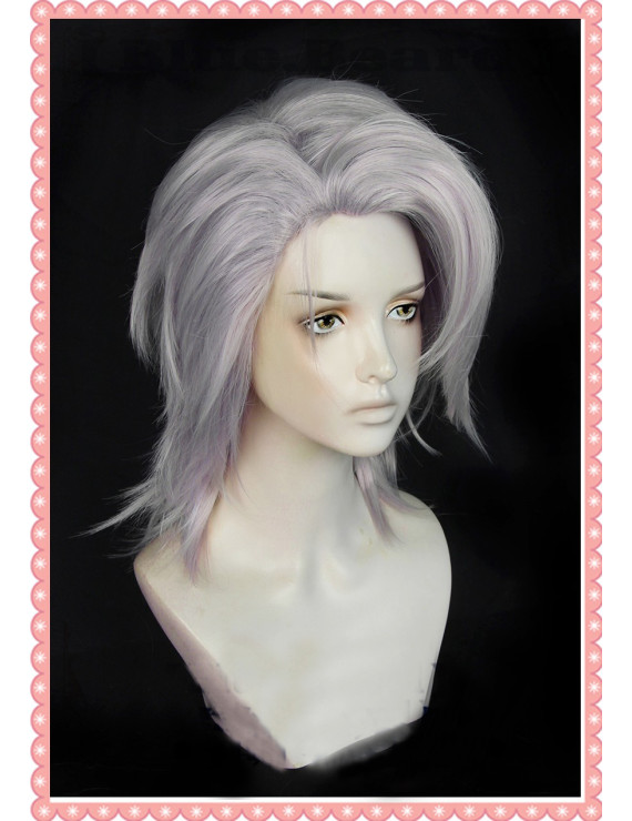 Path to Nowhere Zoya 40cm Silver Heat Resistant Fiber Cosplay Wig + Free Wig Cap