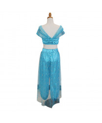 Aladdin Disney Princess Jasmine Adult Cosplay Costume 