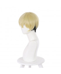 Tokyo Revengers Chifuyu Matsuno Cosplay Wig