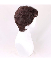 Tangled Flynn Rider Brown styled  Cosplay Wig 28 cm