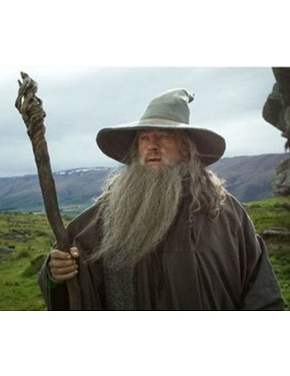 Harry Potter Albus Percival Wulfric Brian Dumbledore Cosplay Wig