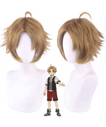 Jobless Reincarnation Mushoku Tensei Sylphiette Greyrat Cosplay Wig