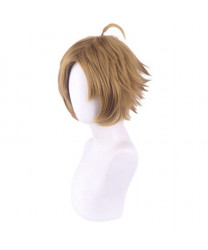 Jobless Reincarnation Mushoku Tensei Sylphiette Greyrat Cosplay Wig