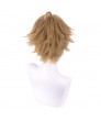 Jobless Reincarnation Mushoku Tensei Sylphiette Greyrat Cosplay Wig