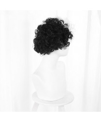 Cruella de Vil White Black Short Curly Cosplay Wig