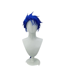 Fate Stay Night Lancer Long Ponytail Style Cosplay Wig