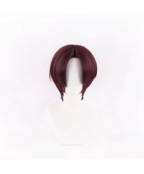 Wind Breaker Hayato Suou Modeling Cosplay Wigs