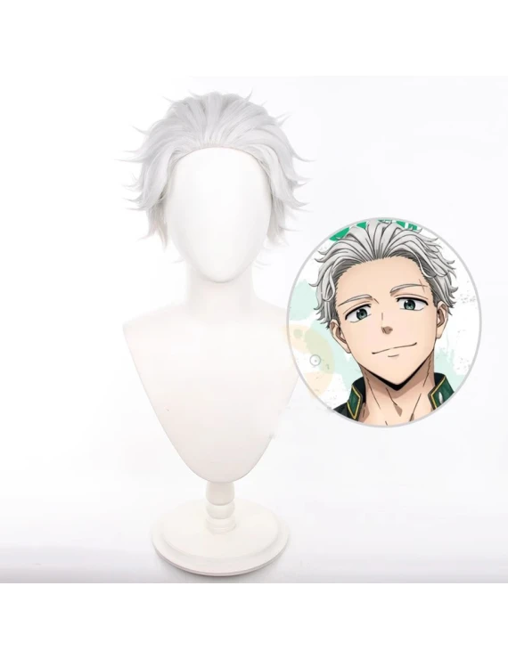 Wind Breaker Hajime Umemiya Modeling Cosplay Wigs