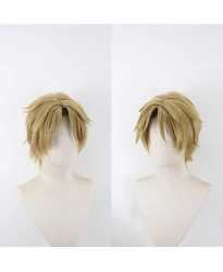 Cosplay Wig for Natsume's Book of Friends Shūichi Natori
