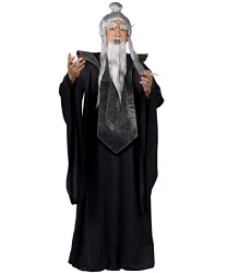 Sensei Master Adult Costume